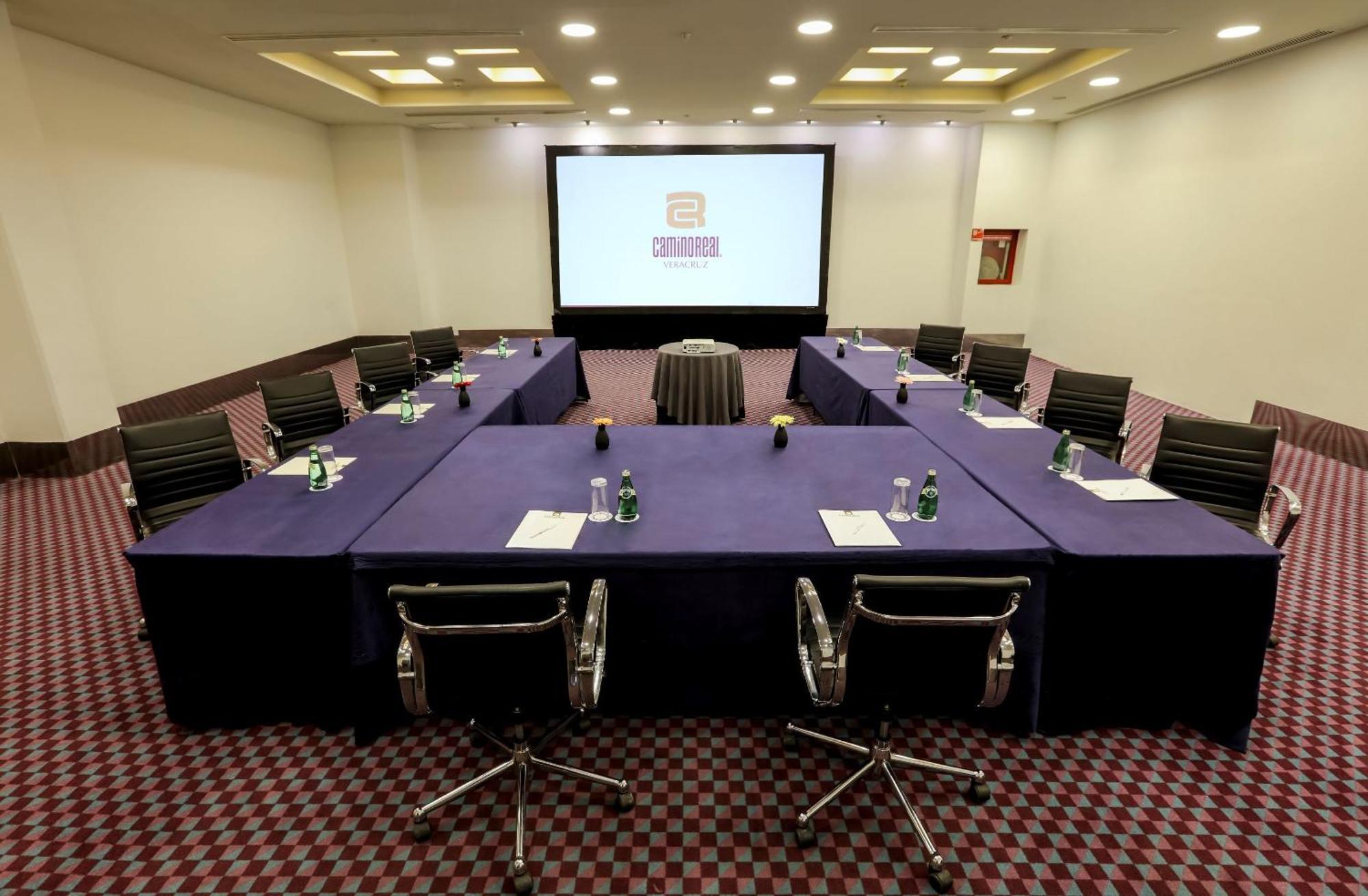 فندق كامينو ريال فيراكروز المظهر الخارجي الصورة Meeting room
